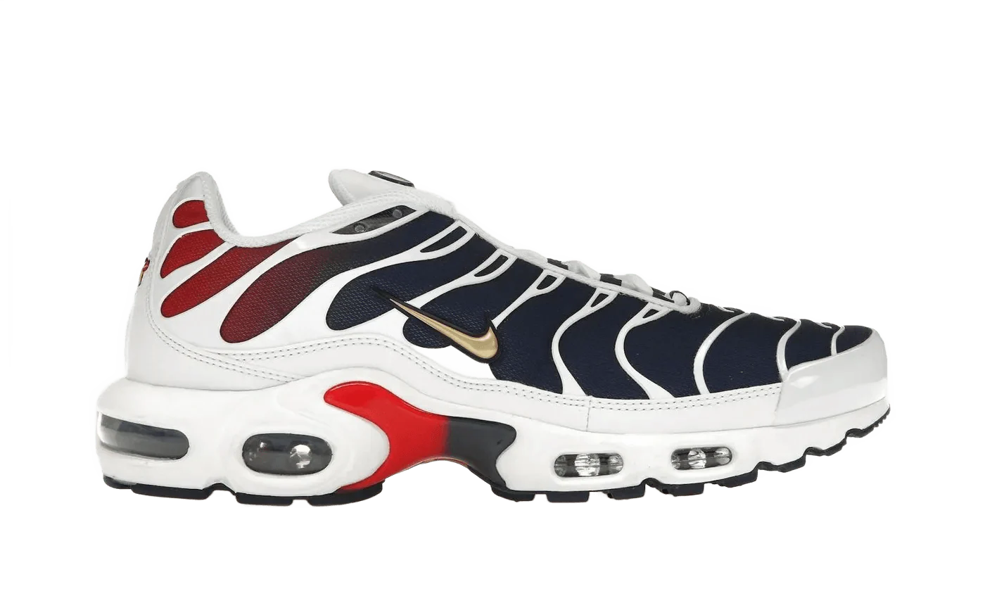 Nike Air Max Plus PSG - Image 2
