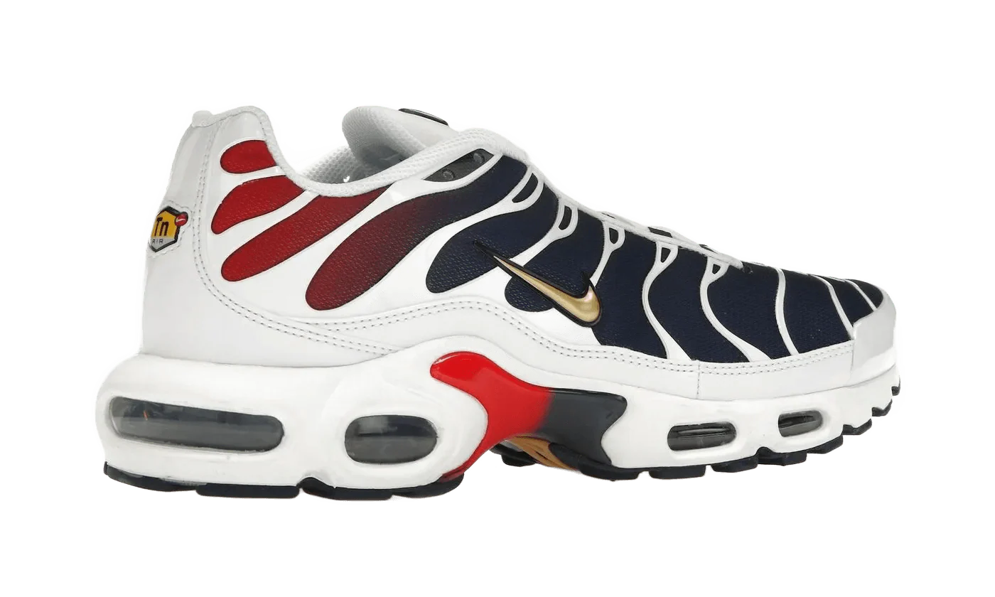 Nike Air Max Plus PSG - Image 3