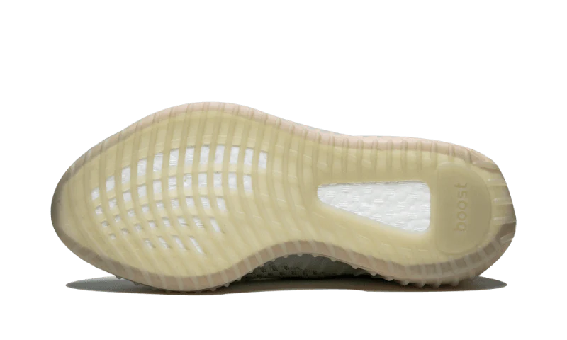 Yeezy Boost 350 V2 True Form - Image 4